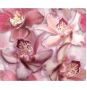Панно Porto Flowers «Orchide lila»