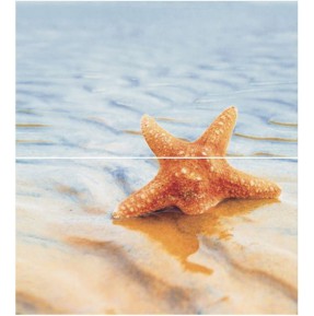  Dec Starfish 1