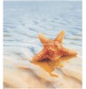 Панно Dec Starfish 1